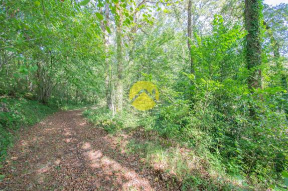 Site touristique à reprendre