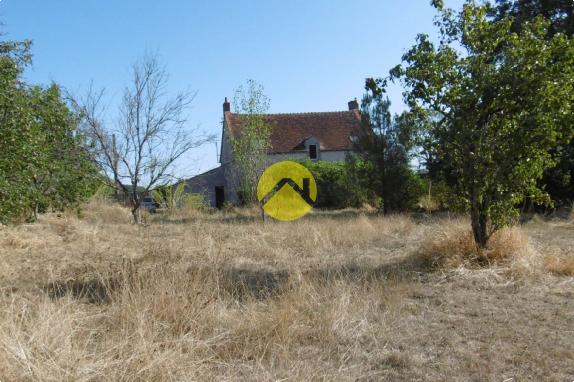 Sur prés d'un hectare