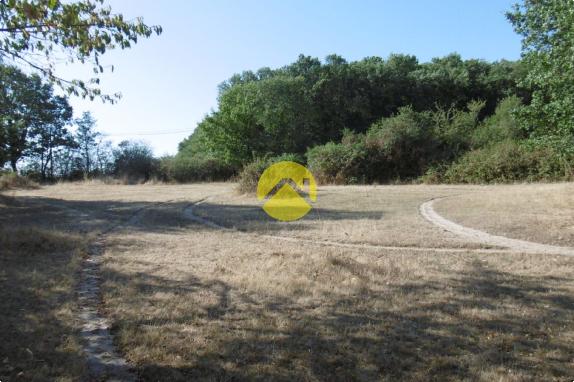 Sur prés d'un hectare