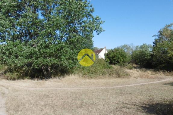 Sur prés d'un hectare