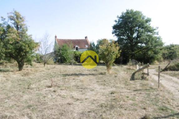 Sur prés d'un hectare