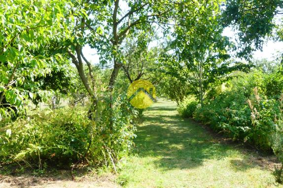 Belle maison et jardin d’exception
