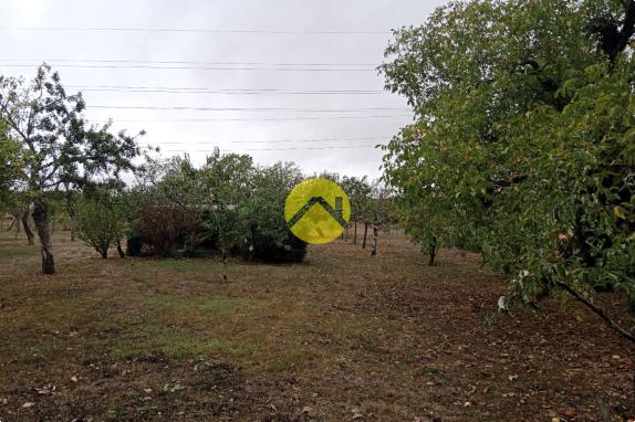 Terrain constructible+ verger