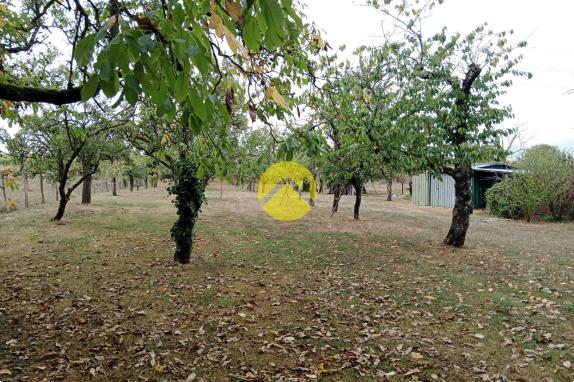 Terrain constructible+ verger