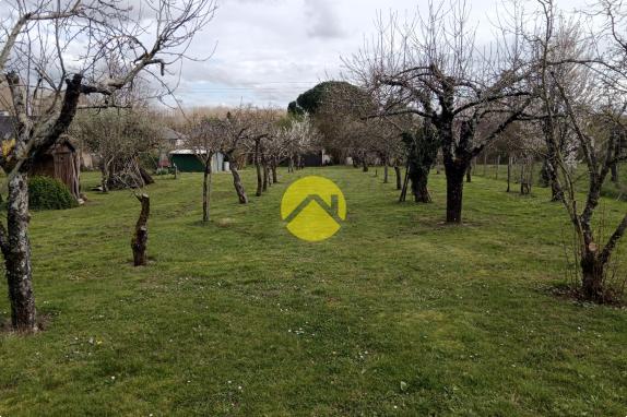 Terrain à bâtir + verger