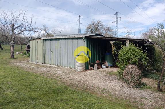 Terrain à bâtir + verger