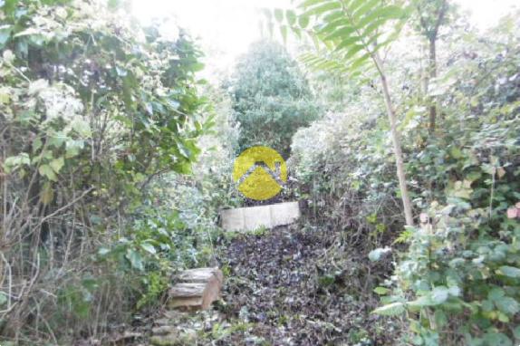 Dans un écrin de verdure