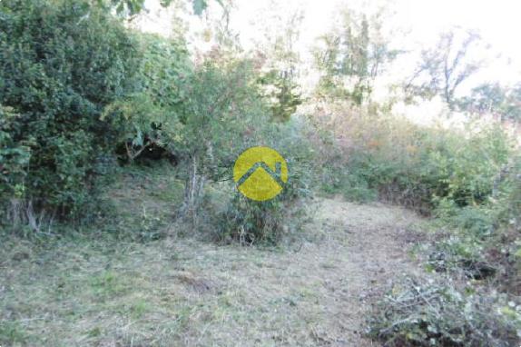 Dans un écrin de verdure