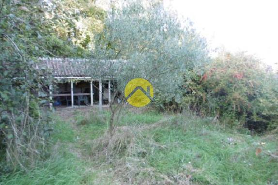 Dans un écrin de verdure