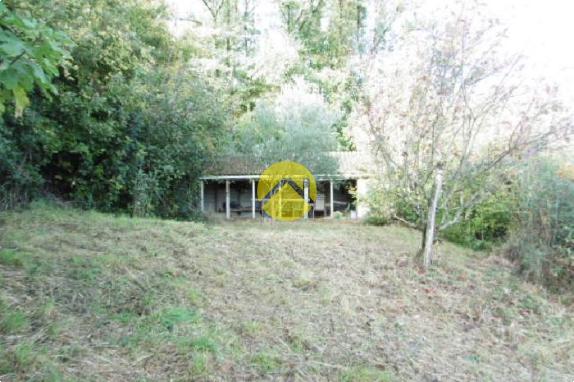 Dans un écrin de verdure