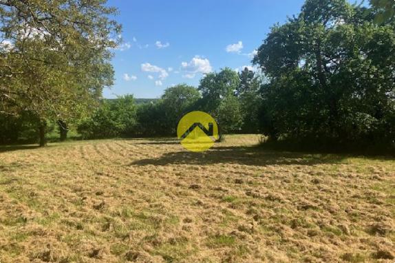 Dépendances à rénover sur 3445 m²