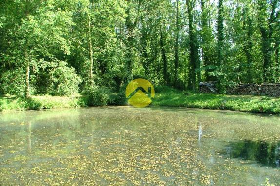 Terrain de loisir avec étang et cha