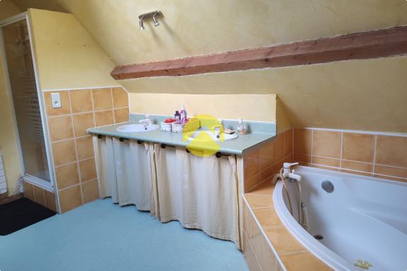MAISON ANCIENNE AVEC GRAND TERRAIN