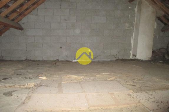 Maison et terrain arboré