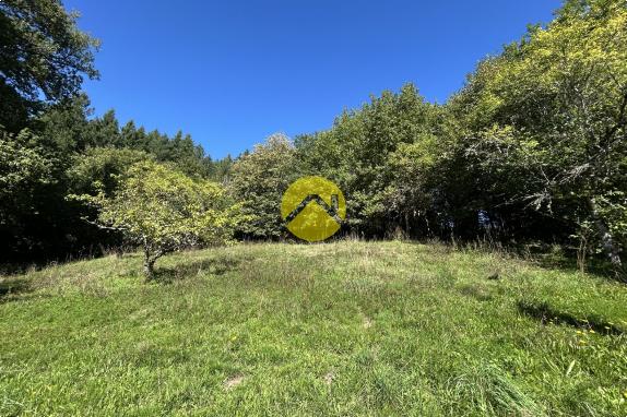 MAISON EN PIERRE SUPERBE VUE
