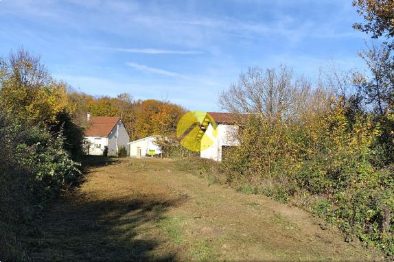 AMOUREUX de la NATURE 