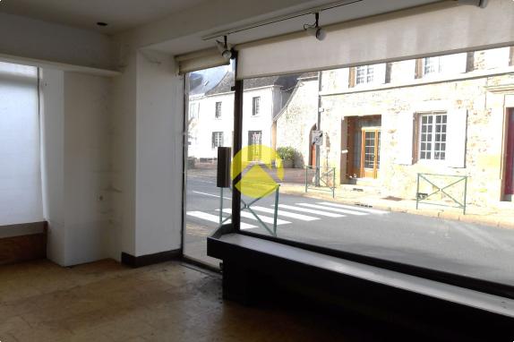 Maison de bourg avec jardin 