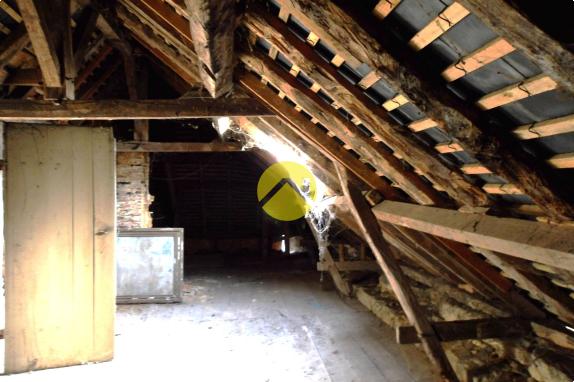 Maison de bourg avec jardin 