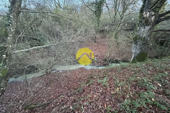 Terrain à bâtir + pré attenant