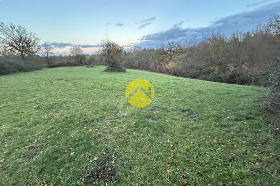 Terrain à bâtir + pré attenant