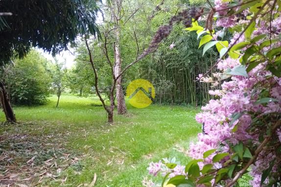 ET AU MILIEU COULE LA RIVIÈRE 