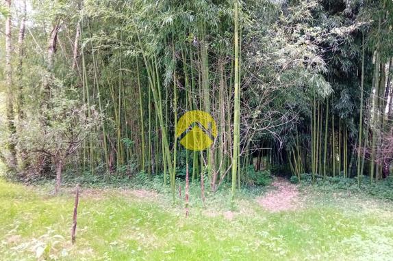 ET AU MILIEU COULE LA RIVIÈRE 