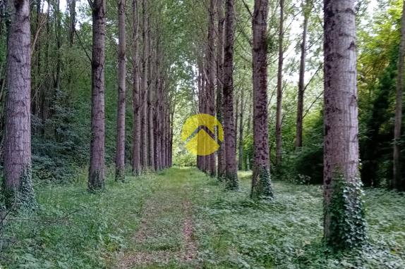 ET AU MILIEU COULE LA RIVIÈRE 