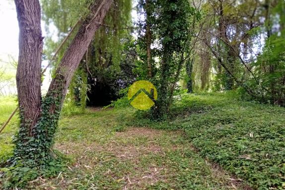 ET AU MILIEU COULE LA RIVIÈRE 