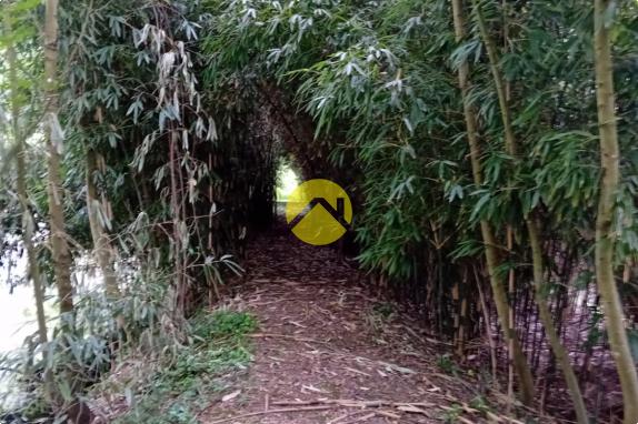 ET AU MILIEU COULE LA RIVIÈRE 