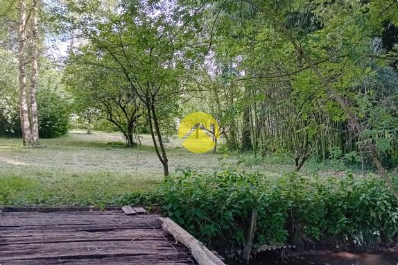 ET AU MILIEU COULE LA RIVIÈRE 