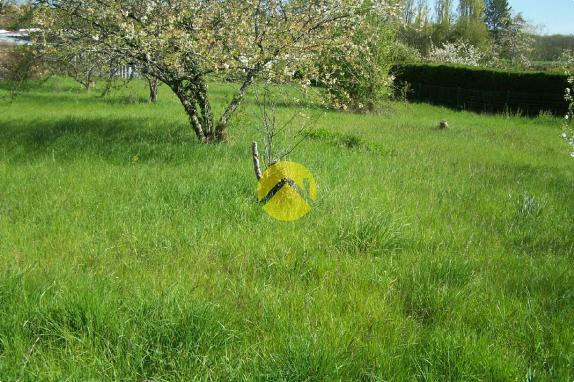 LE CALME DE LA  CAMPAGNE EN VILLE 