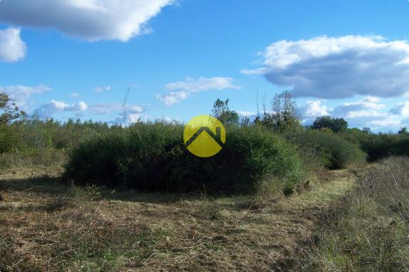 LE CALME DE LA  CAMPAGNE EN VILLE 