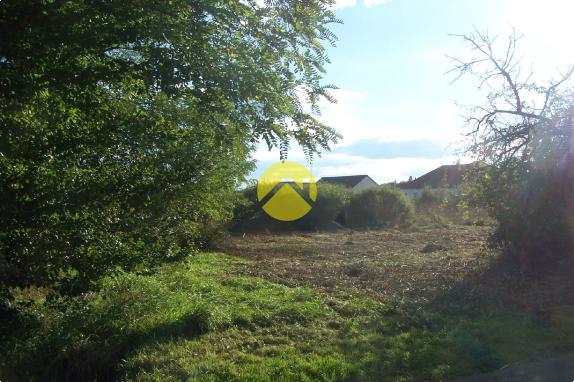 LE CALME DE LA  CAMPAGNE EN VILLE 