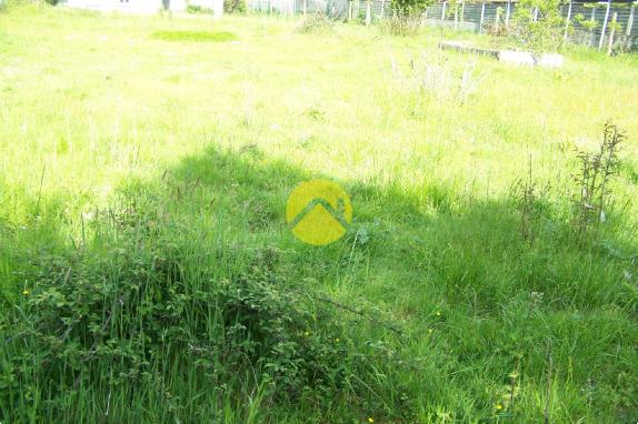 LE CALME DE LA  CAMPAGNE EN VILLE 