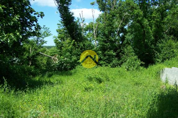 LE CALME DE LA  CAMPAGNE EN VILLE 