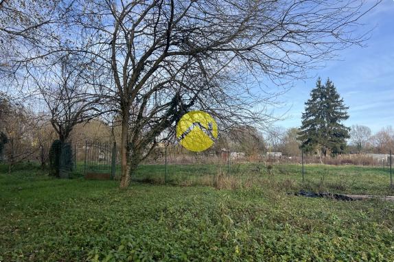 ET AU MILIEU COULE LA RIVIÈRE 