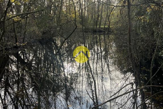 ET AU MILIEU COULE LA RIVIÈRE 