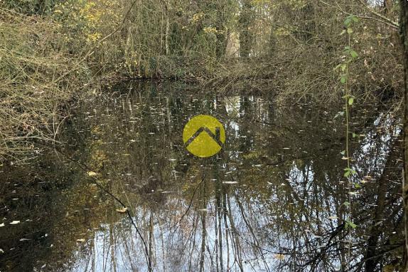 ET AU MILIEU COULE LA RIVIÈRE 