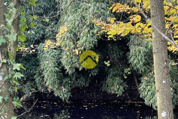 ET AU MILIEU COULE LA RIVIÈRE 