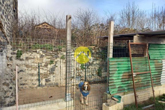 Corps de Ferme 10 mn Murat