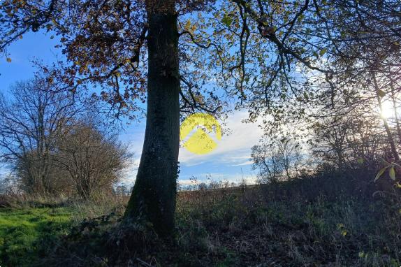 Terrain de Loisirs / Etang / Chalet Commentry, m2 à vendre