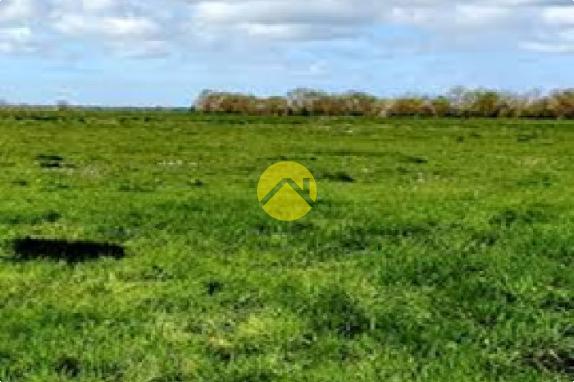 terrain agricole 1,2 ha