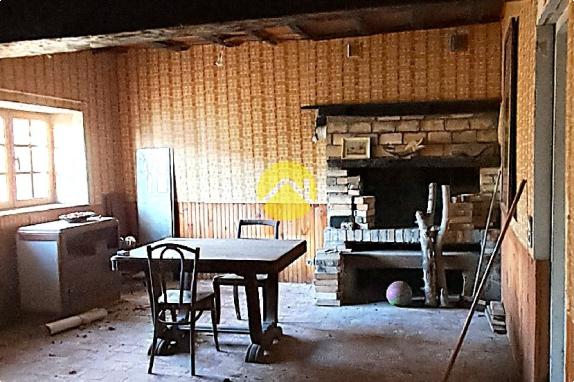 Maison avec grand jardin