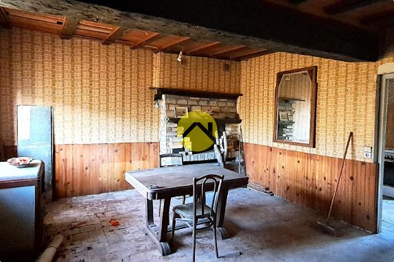 Maison avec grand jardin