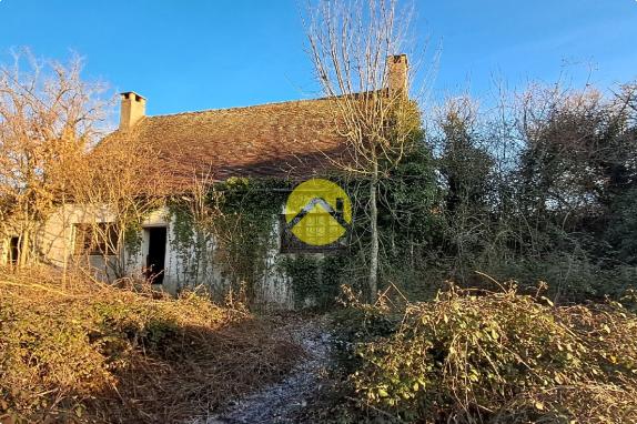 Maison avec grand jardin