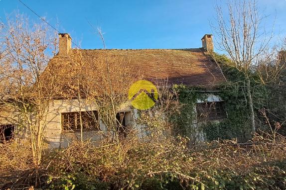 Maison avec grand jardin
