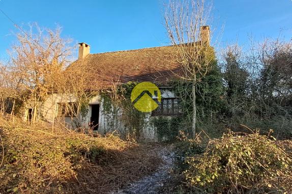 Maison avec grand jardin