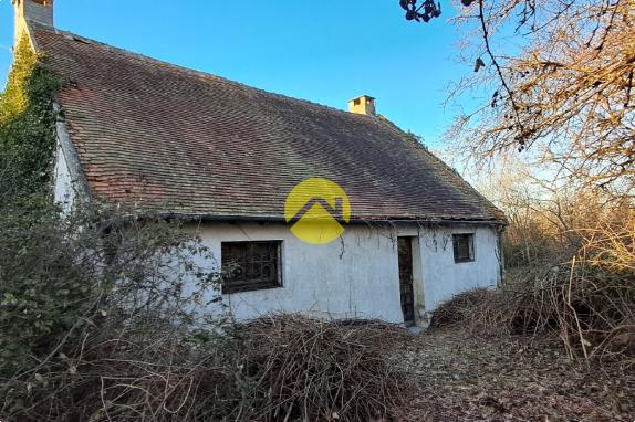 Maison avec grand jardin
