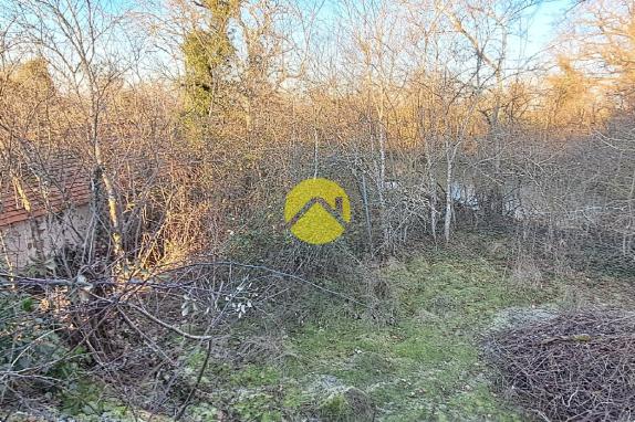 Maison avec grand jardin