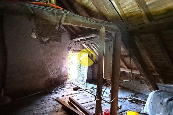 Maison avec grand jardin